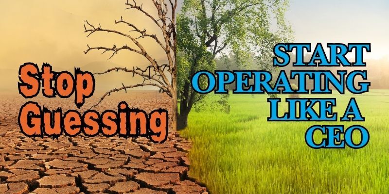 Split dead tree in a desert and healthy tree in lush grass with text 